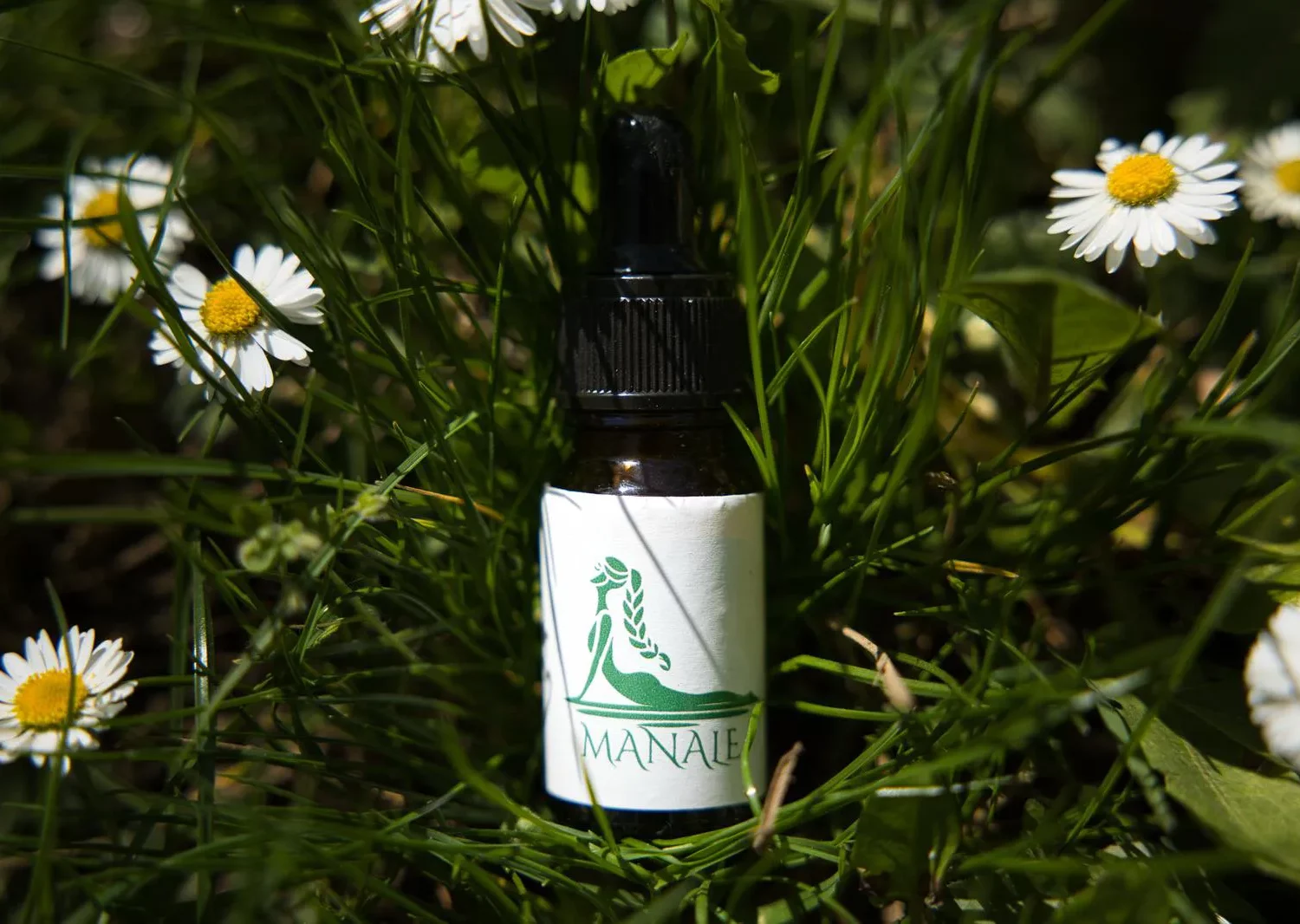 Huile de Chanvre CBD 10% Full Spectrum