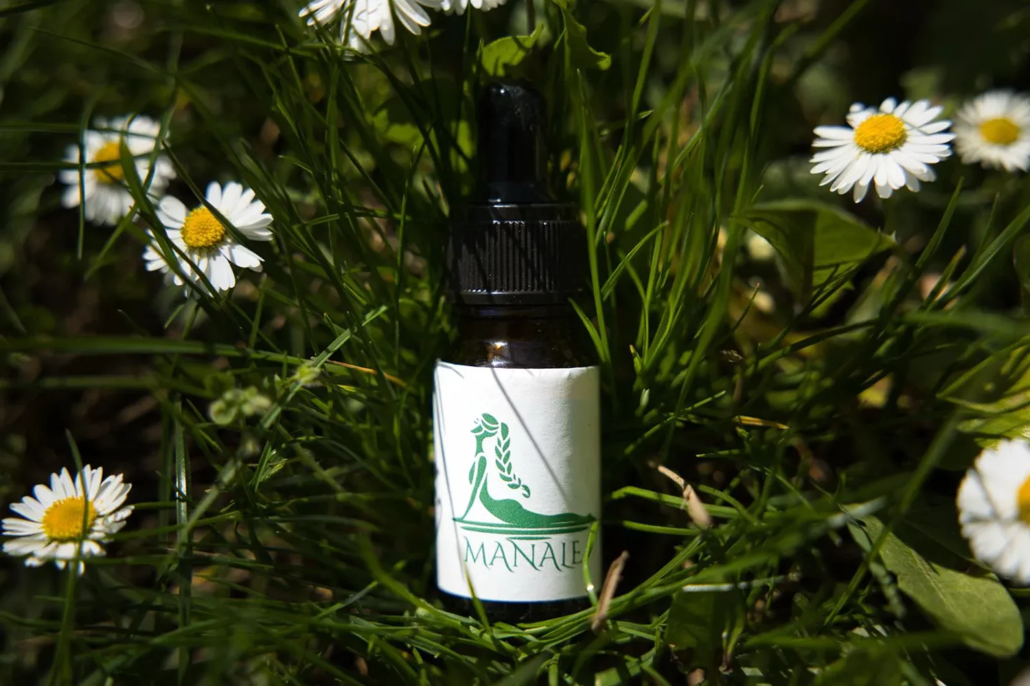 Huile de Chanvre CBD 10% Full Spectrum