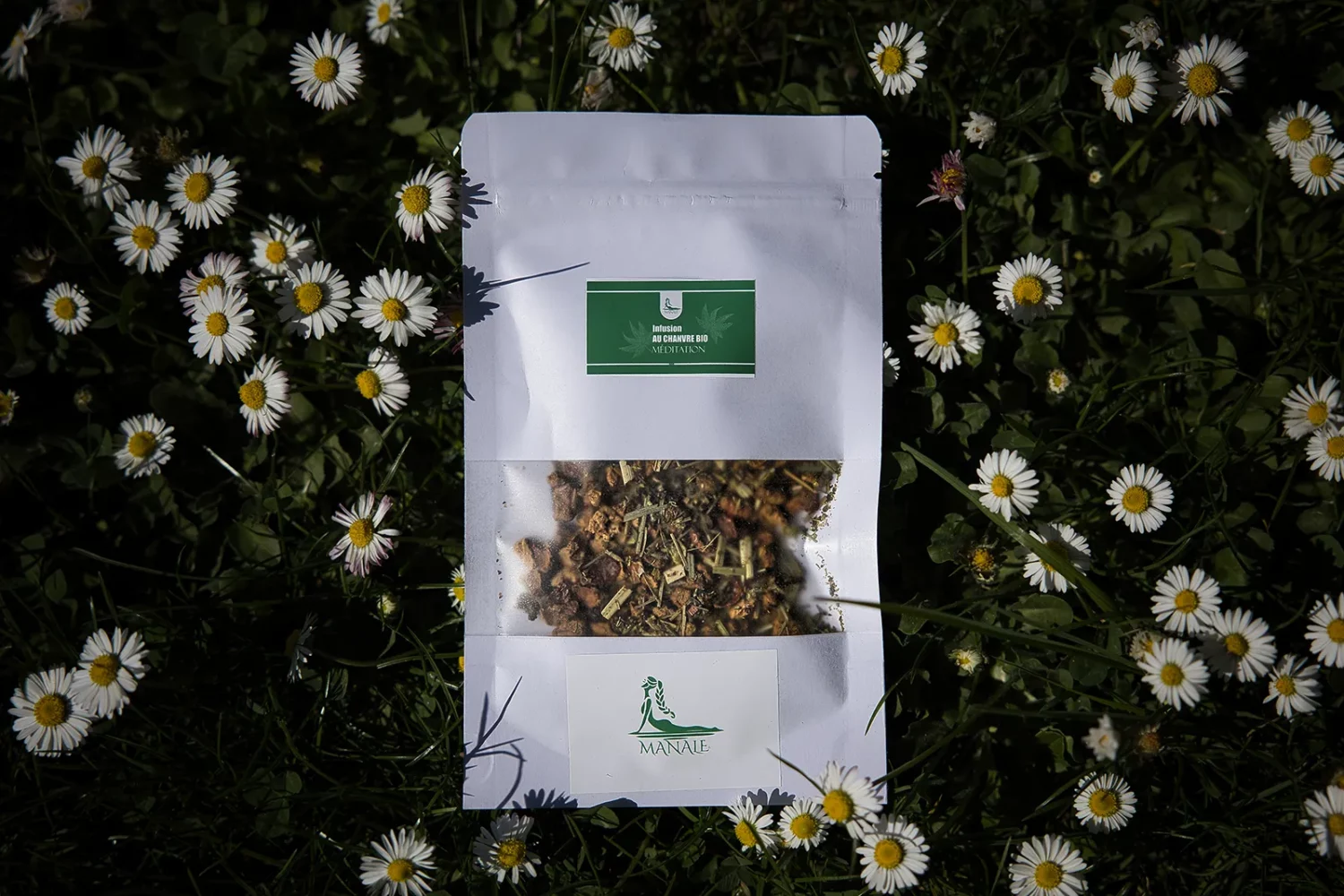 Infusion plantes sacrées Méditation