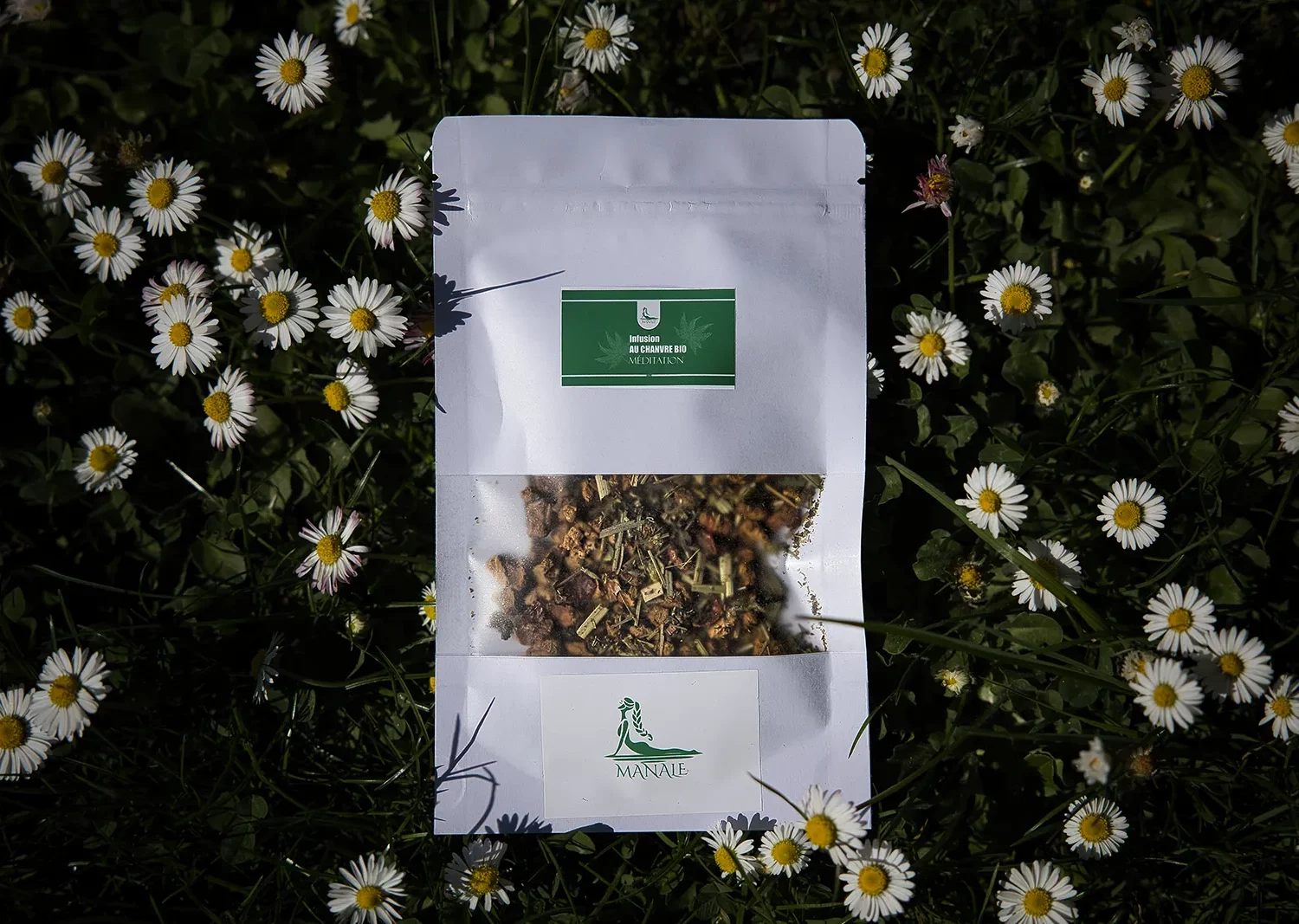 Infusion plantes sacrées Méditation