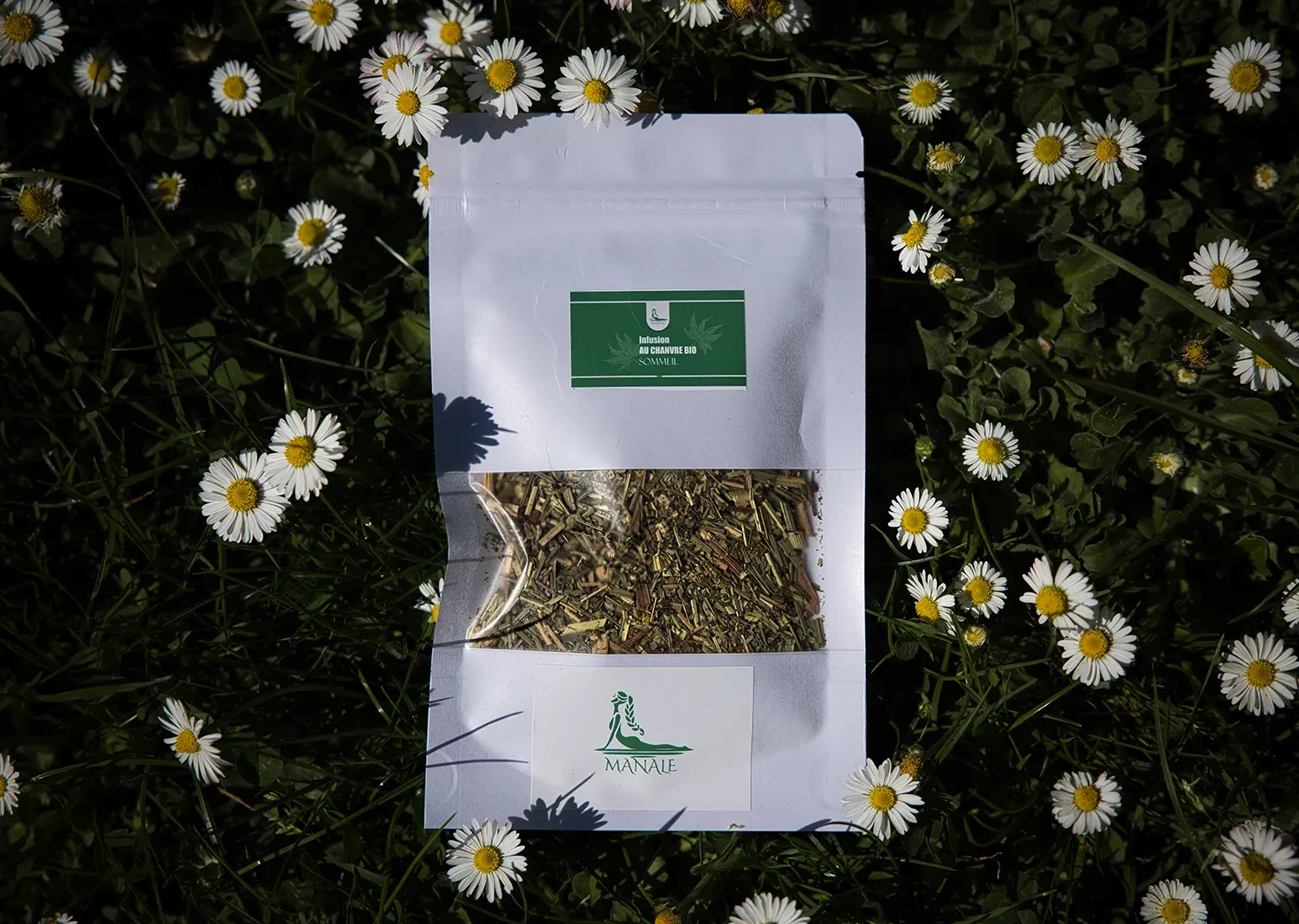 Infusion de plantes sacrées Sommeil